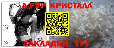 спиды Заводоуковск