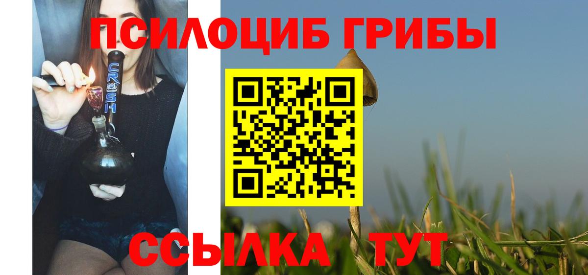 Псилоцибиновые грибы мухоморы Полевской